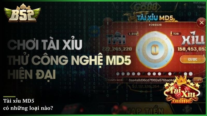 Tài xỉu MD5 có những loại nào